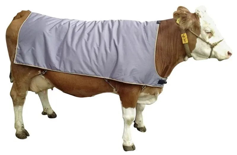 Sichere Zahlung Wasserdichte Thermodecke für Kühe - 155 cm 70 cm